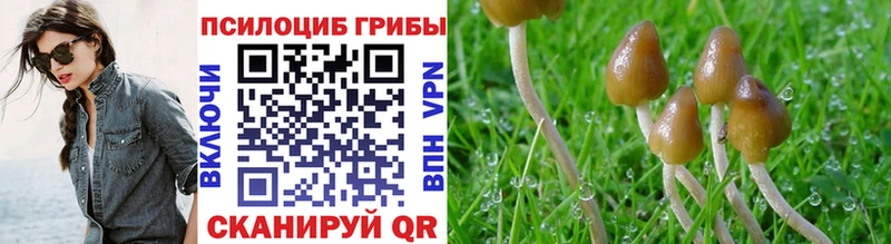 Псилоцибиновые грибы прущие грибы  Тотьма 