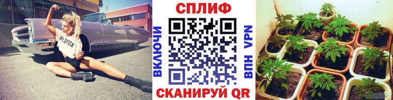 Канабис OG Kush  Тотьма 